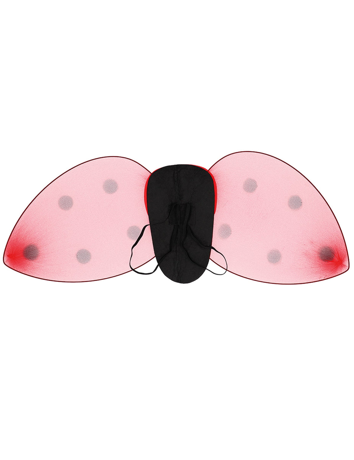 Vue de dos des ailes du kit ailes et serre-tête coccinelle