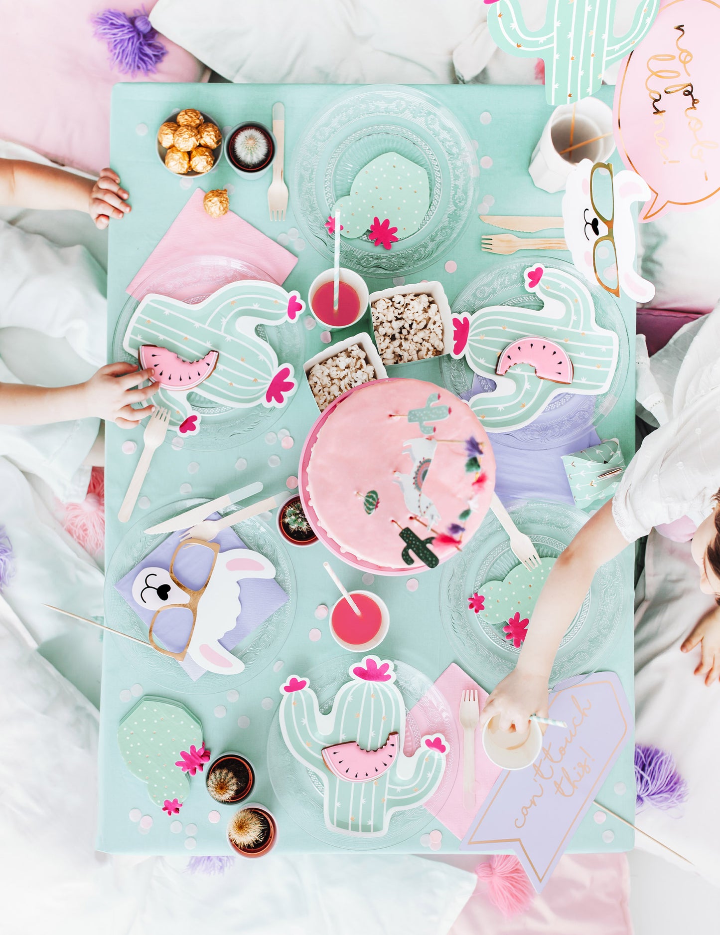 5-delni komplet za fotografiranje z motivom pastelne lame za rojstne dneve