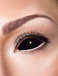 Lentilles fantaisie et de couleur