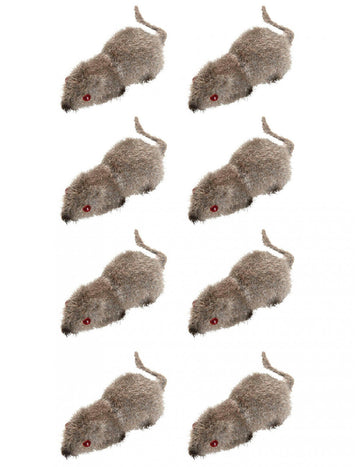 Sklop 8 čarovnic miška