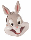 Déguisements Looney Tunes