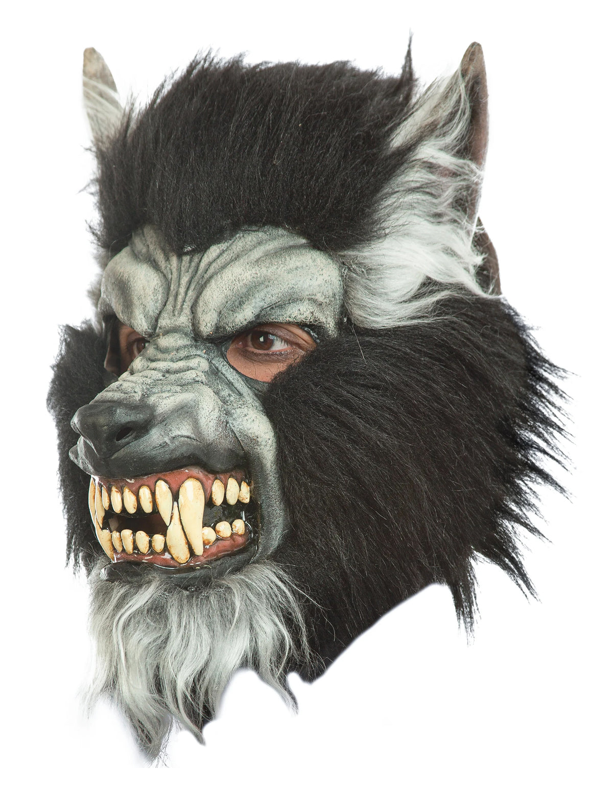 Masque intégral loup garou pour adulte gris avec fourrure noire et crocs