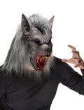 Celoobrazne maske