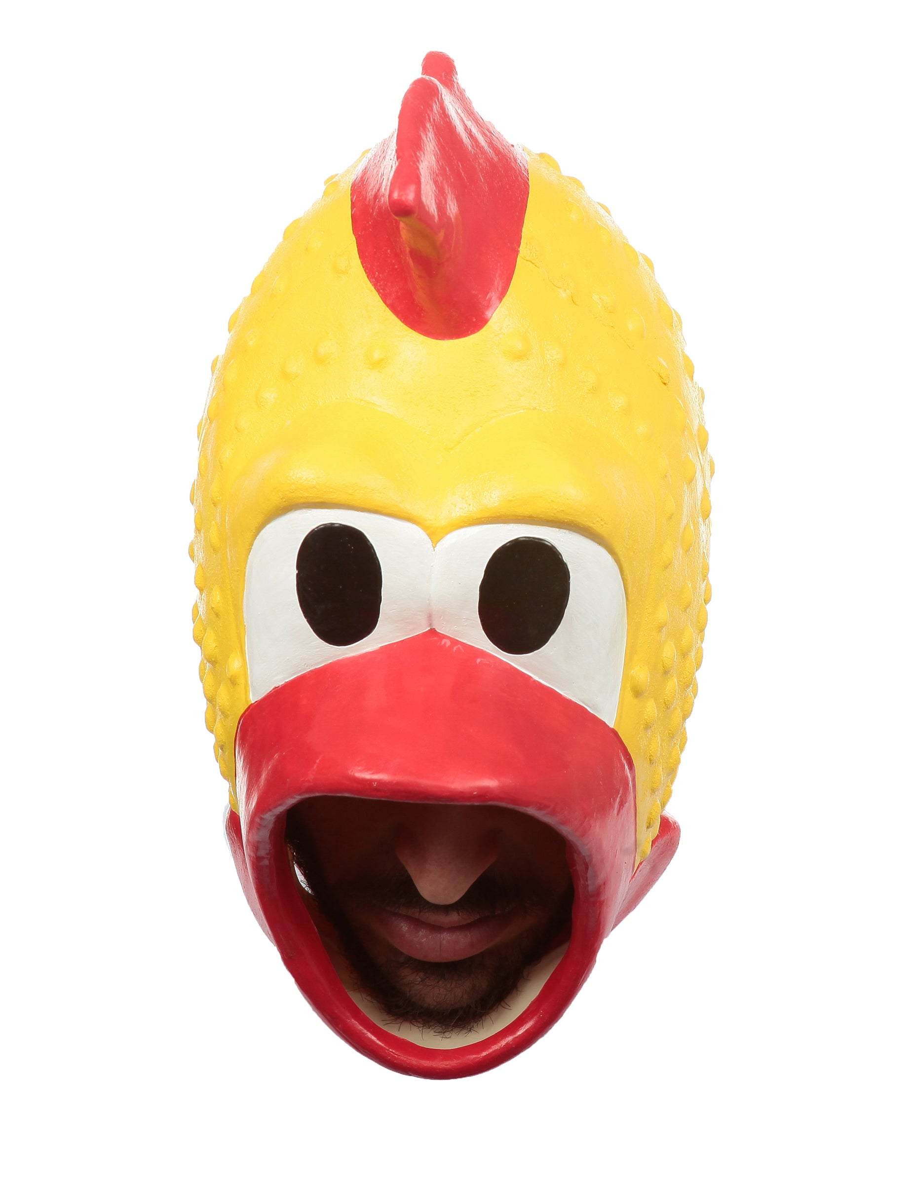 Vue de face du masque de poulet