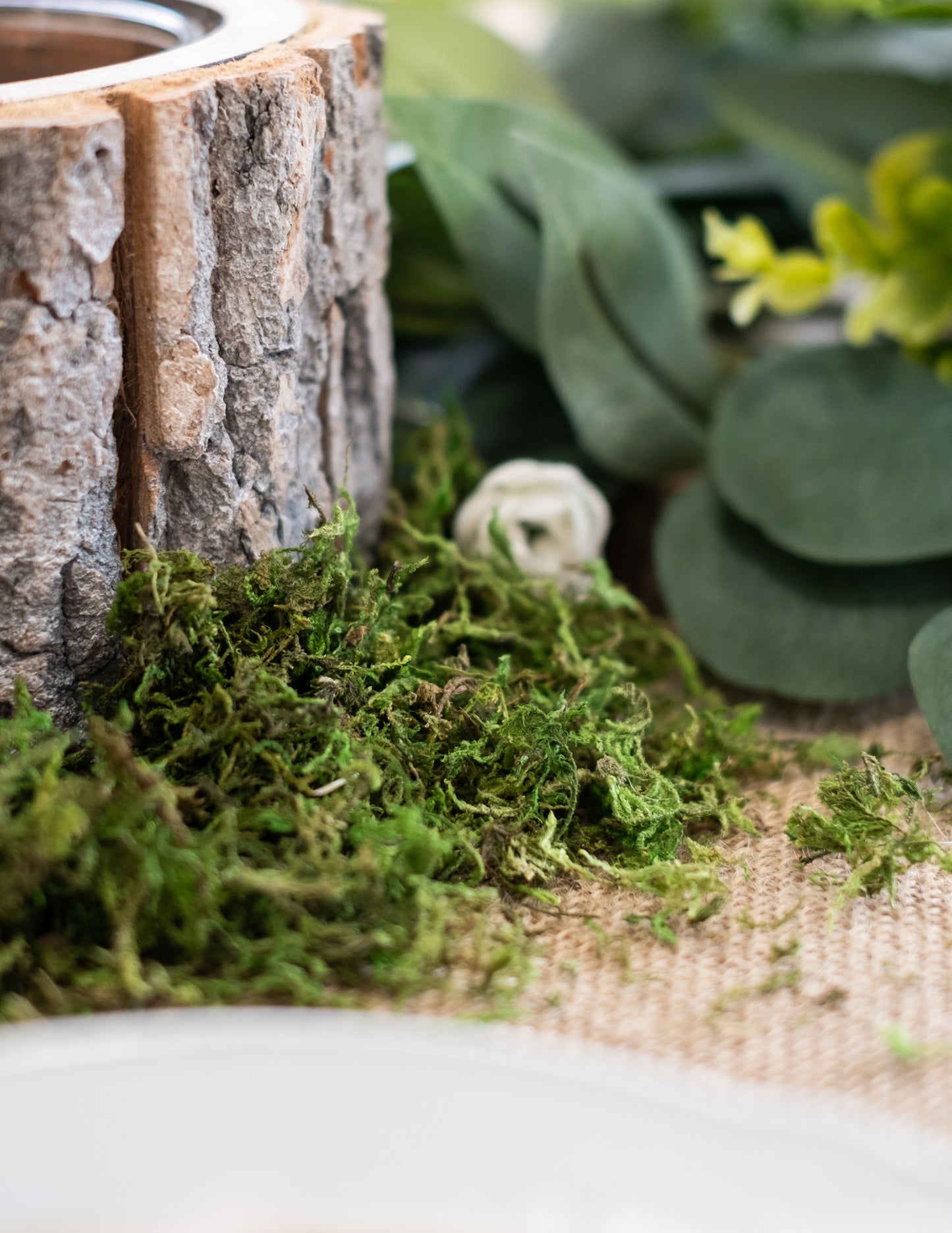 Mousse végétale séchée 50 gr pour décoration naturelle