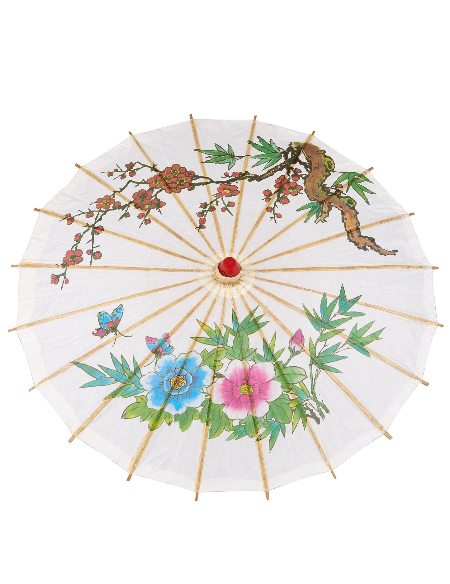 Kitajska senca 60 cm