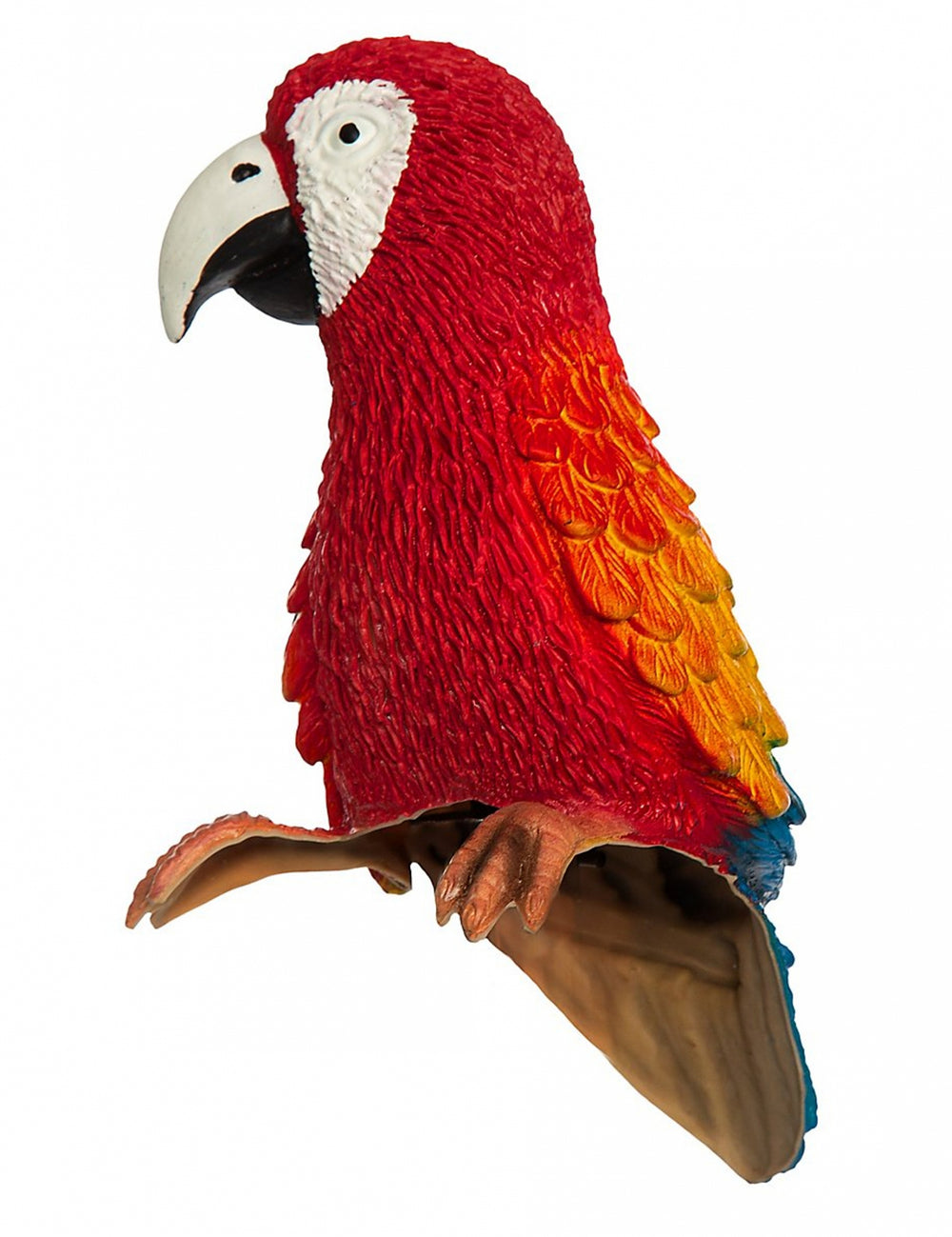 Vue de profil du perroquet Rosalinda Fifi Brindacier