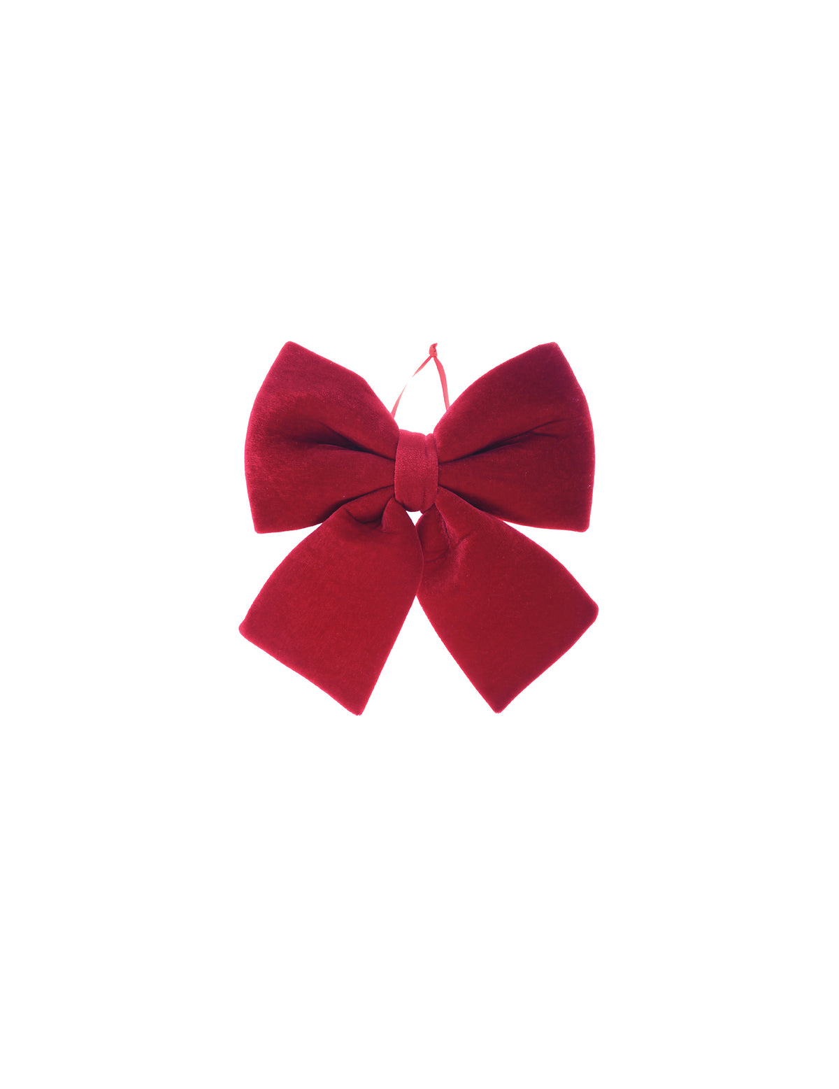 Petit nud papillon en velours bordeaux 15 x 18 cm