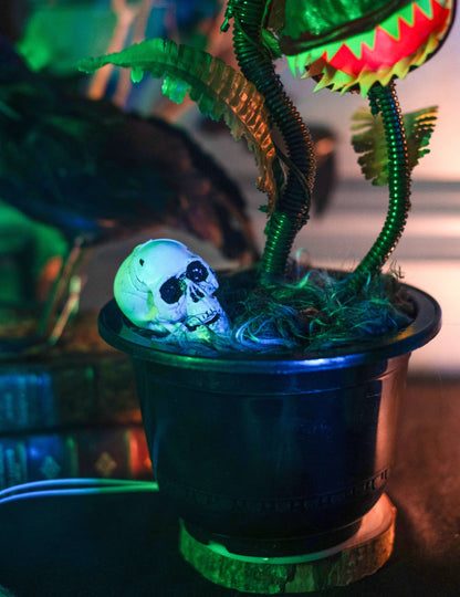 Animirana mesojeda rastlina 42 cm