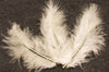 Plumes de décoration pour mariage ivoire