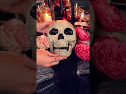 Dekoracija lobanje 24 x 18 cm noč čarovnic