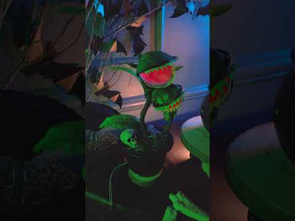 Animirana mesojeda rastlina 42 cm