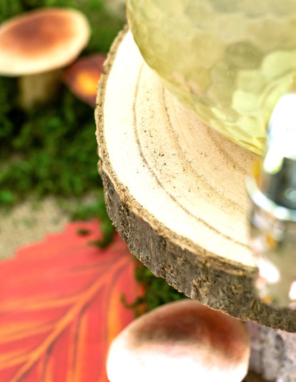 Naravni leseni hlod od 28 do 33 cm