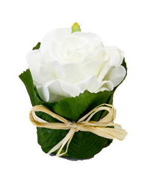 Bela vrtnica v listnatem lončku 8 x 6 cm rustikalna dekoracija