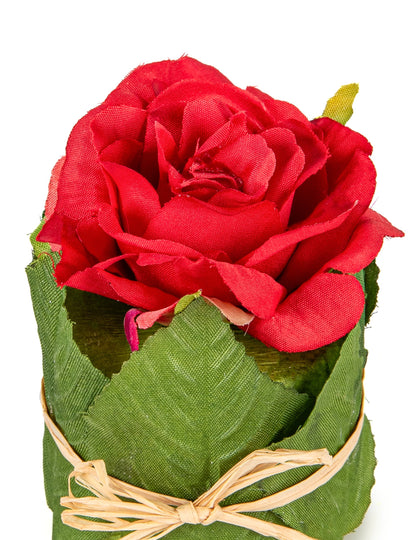 Rdeča vrtnica v lončku z listjem velikosti 8 x 6 cm za poroko