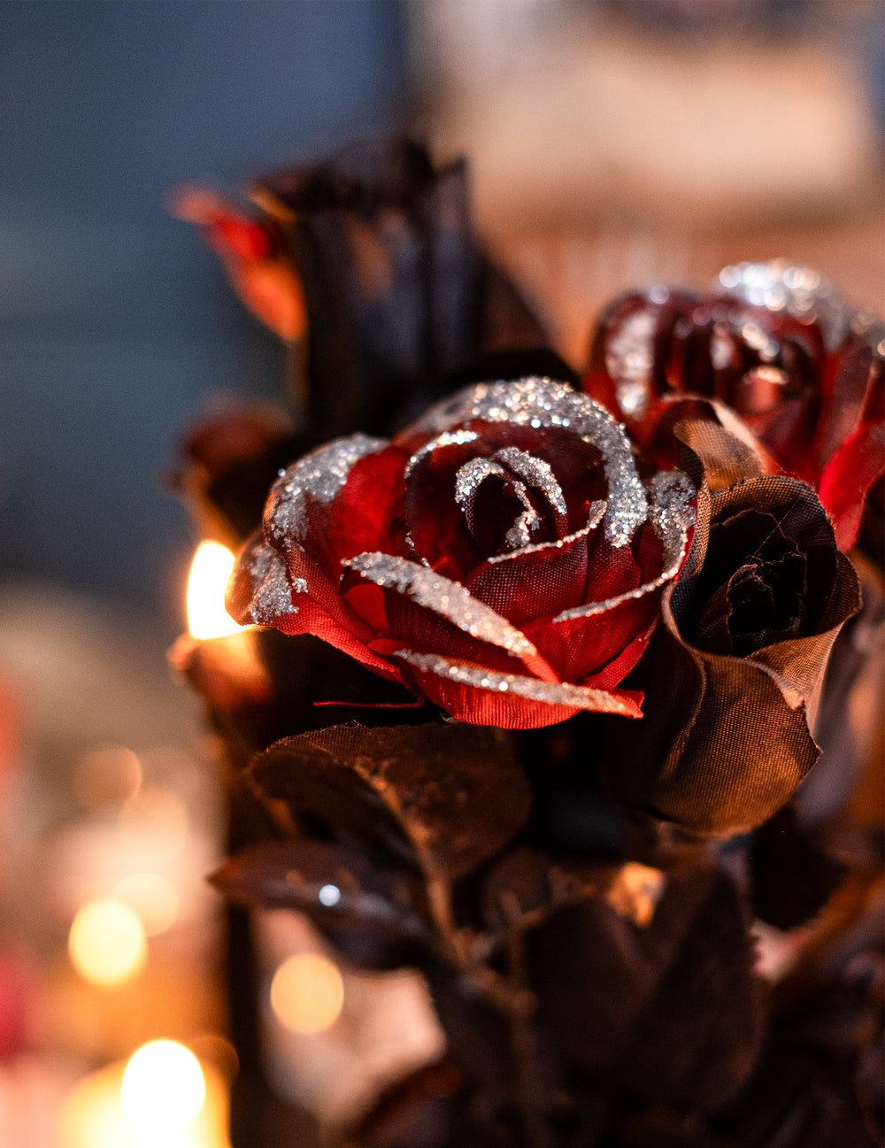 Gros plan sur les pétales à paillettes de la rose Halloween rouge et noire