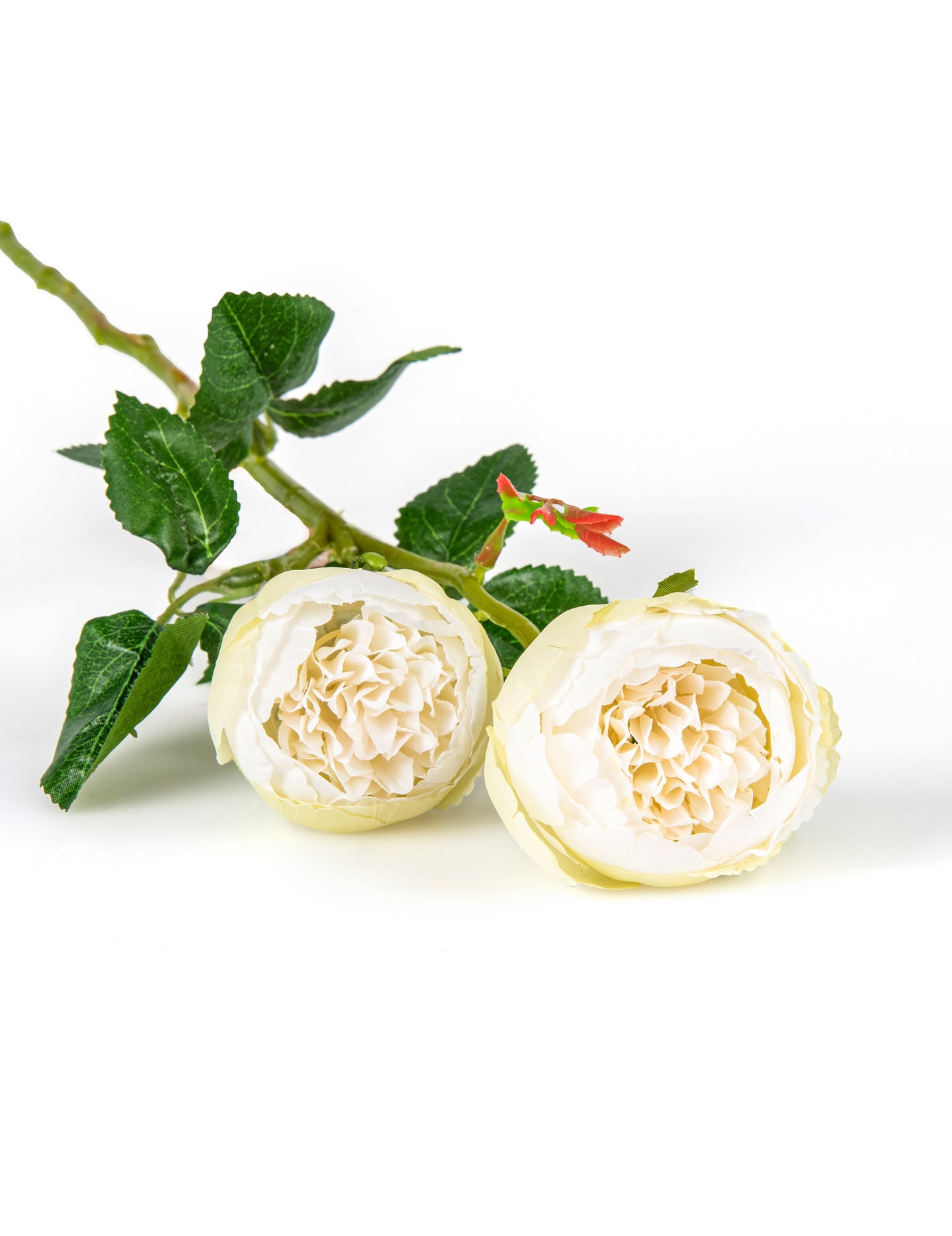 Umetne bele vrtnice na steblih 46 cm v kompletu 2