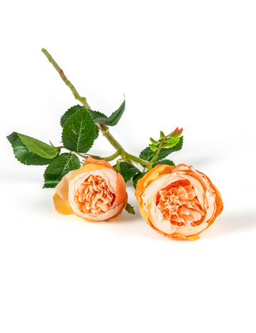 Umetne breskve vrtnice na steblih 46 cm za poročni šopek