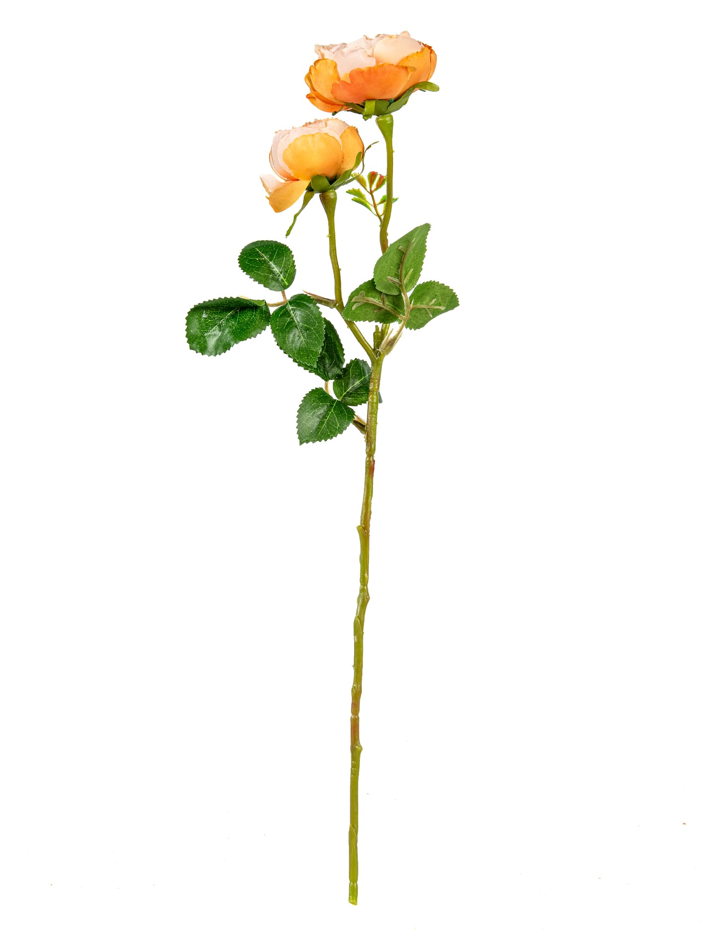 Umetne breskve vrtnice na steblih 46 cm za poročni šopek