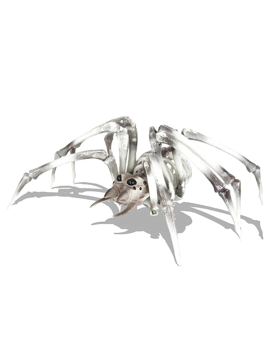 Squelette araignée pour décoration d'Halloween beige et noir