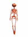 Gibljivi skelet Summerween z bučno oranžno glavo 1 m
