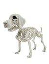 Squelette de chien pour Halloween blanc cassé vieilli