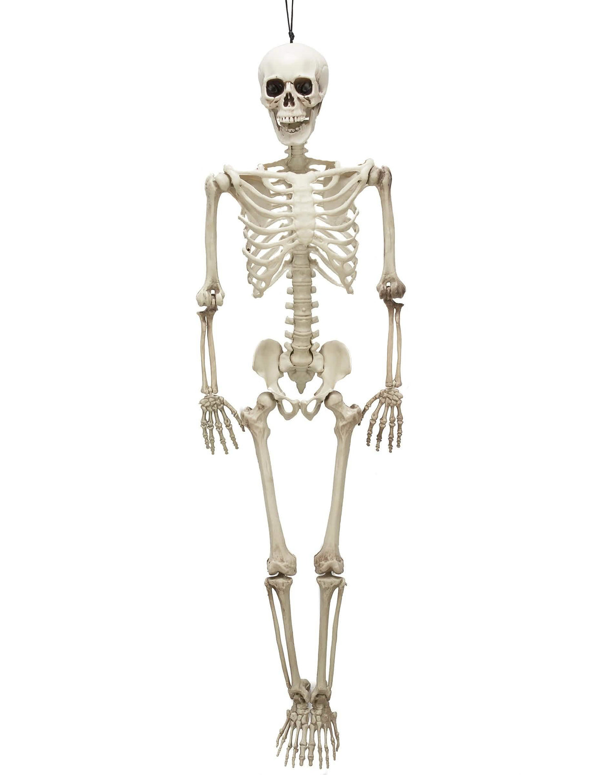 Gibljiv halloween okostnjak za dekoracijo v barvi kosti