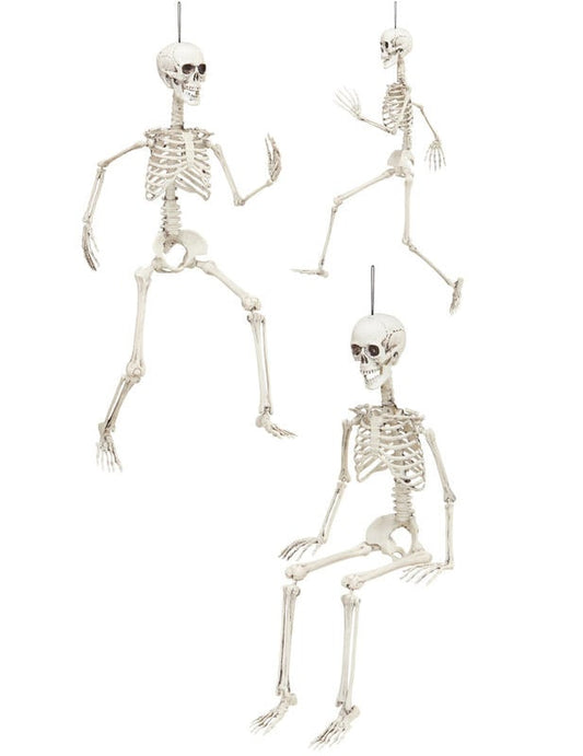 Différentes positions du squelette articulé Halloween