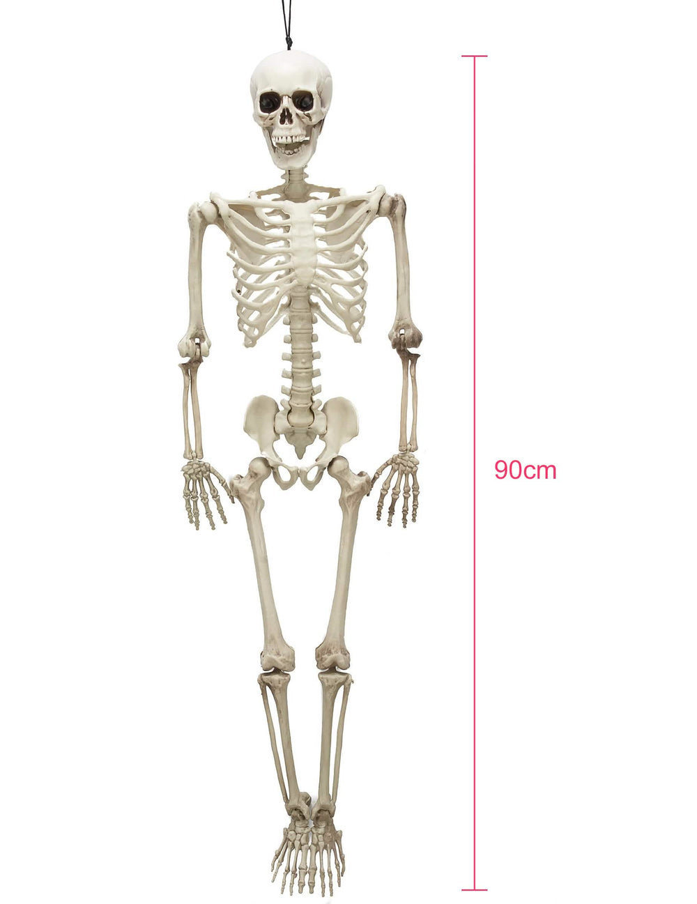 Pregled z merilom artikuliranega okostnjaka halloween