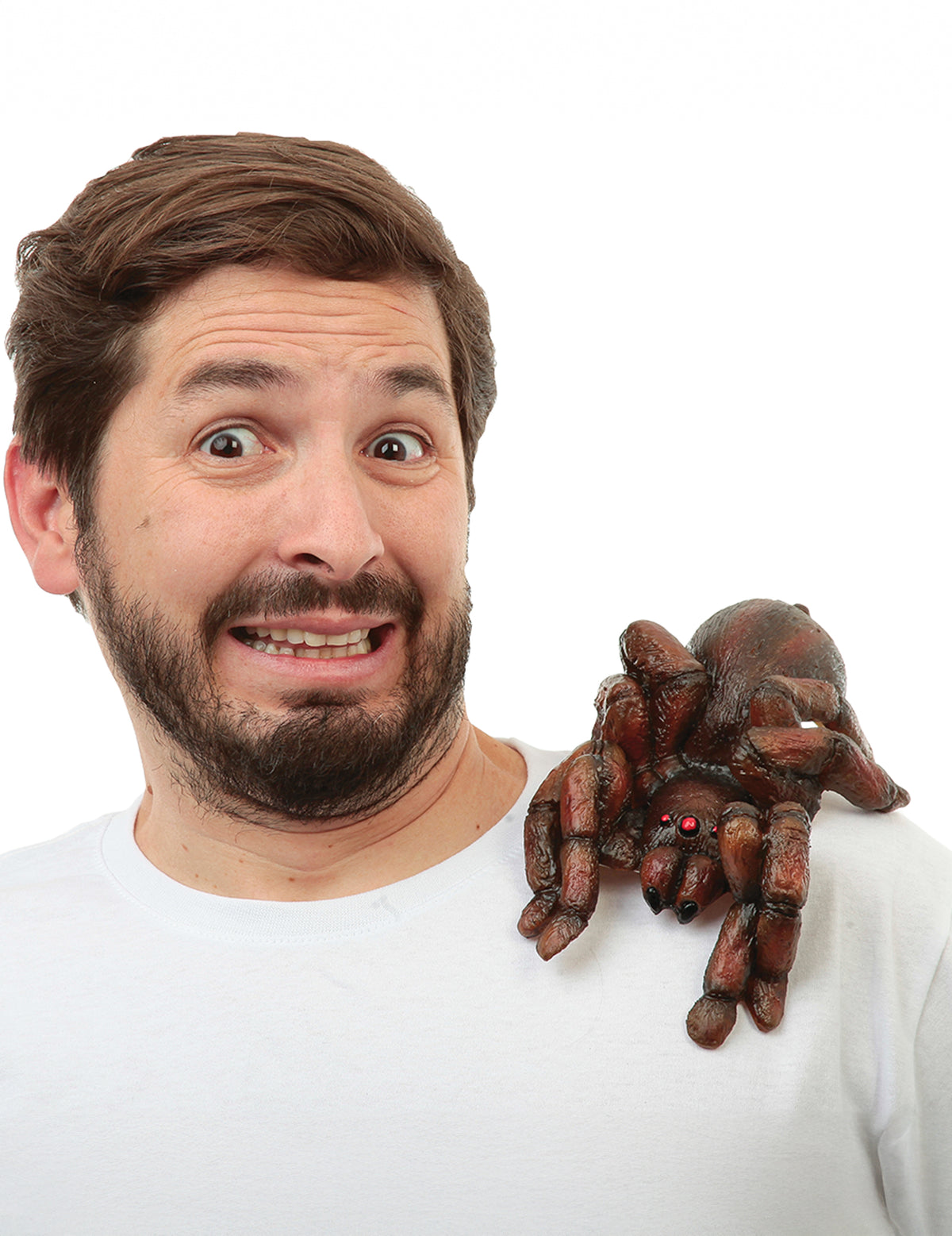 Mise en situation sur l'épaule de la tarantule d'épaule pour adulte