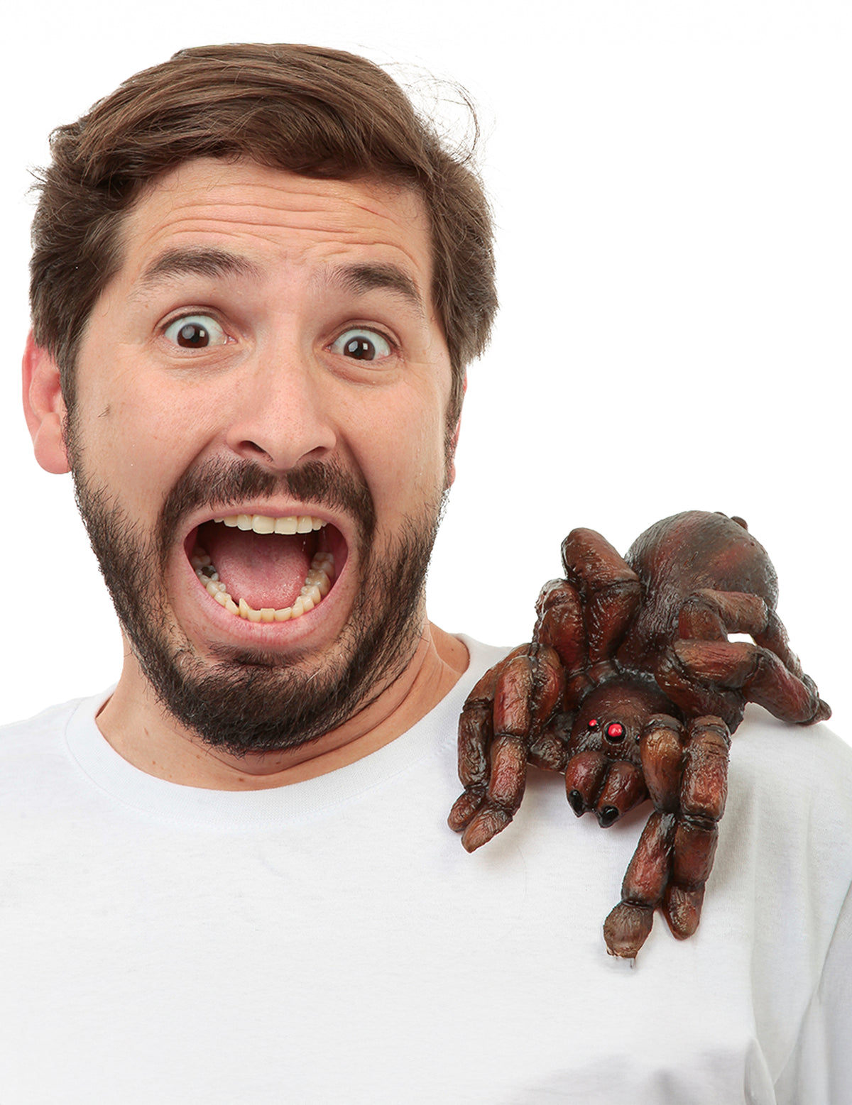 Tarantule d'épaule pour adulte marron aux yeux rouges