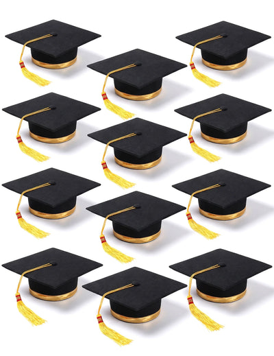 12 Toques diplômé adulte