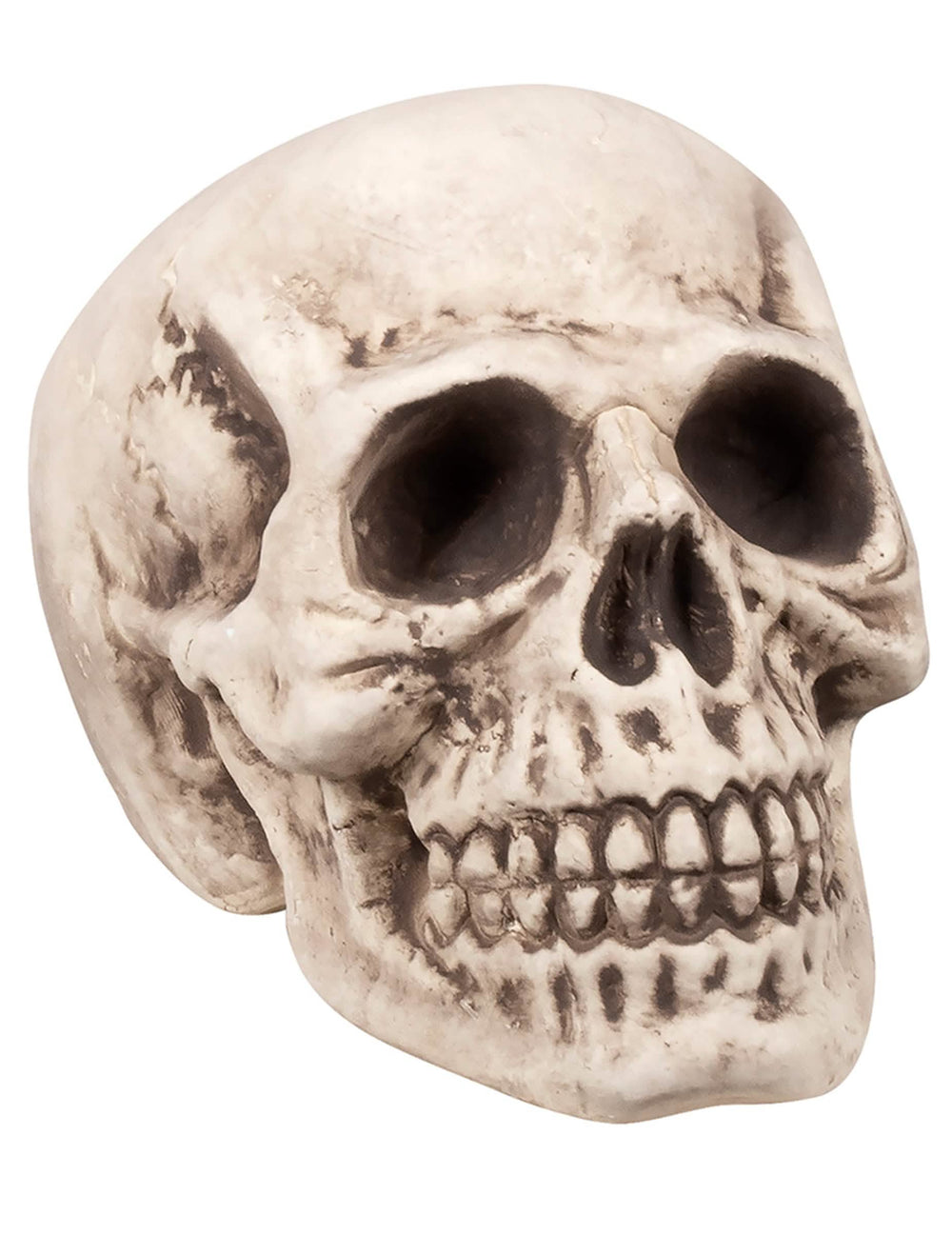 lobanja za halloween dekoracijo, bež z videzom postarane površine