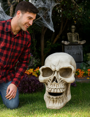 XXL lobanja 63 cm v magneziju