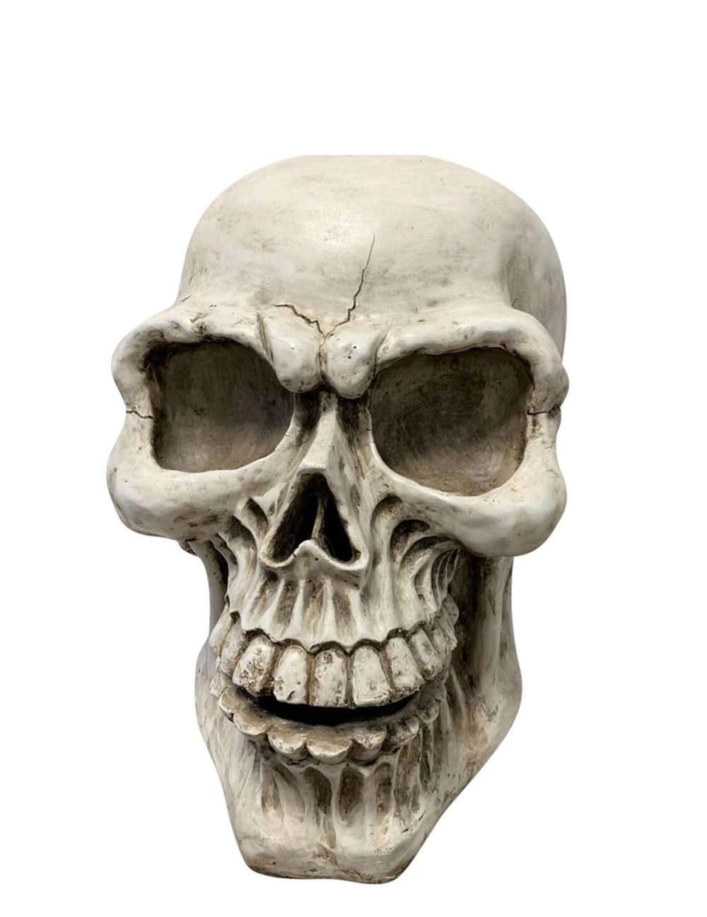 Vue de face de la tête de mort Halloween pour décoration
