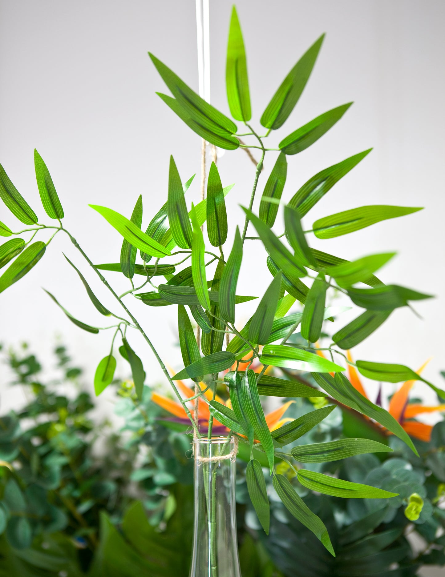 Bambusovo steblo, 60 listov, 58 cm za tropsko dekoracijo