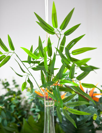 Bambusovo steblo, 60 listov, 58 cm za tropsko dekoracijo