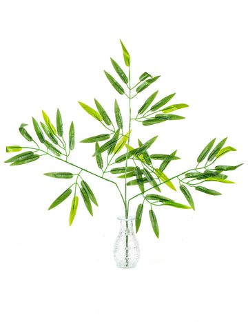 Bambusovo steblo, 60 listov, 58 cm za tropsko dekoracijo