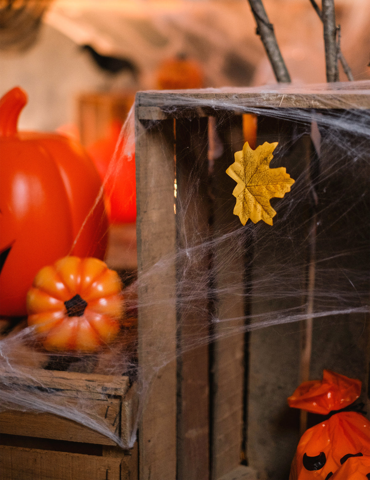 Détail d'une feuille d'automne sur une caisse de la toile d'araignée Halloween blanche